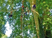 MAGAZINE – Loisirs : l’accrobranche HD-370---acrobranches