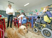 DOSSIER – Handicap et scolarité HD-371---handi-chien