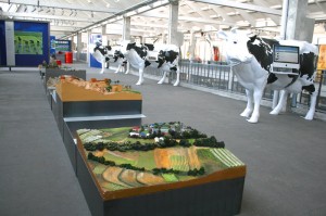 HD-387---cite-nature