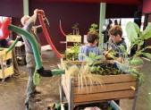 Cultiver son jardin ! HD-387---potager-3